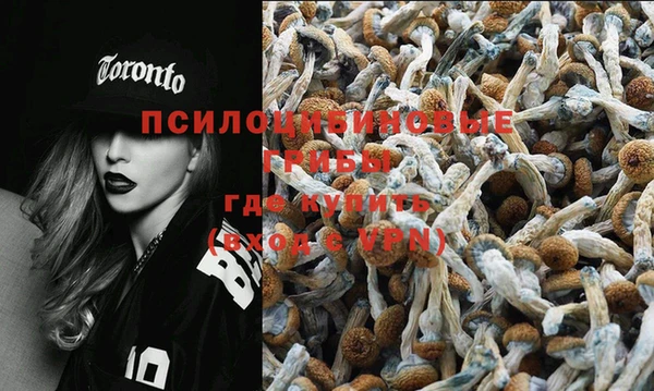 a pvp Усинск