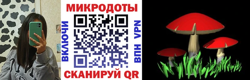 Галлюциногенные грибы Cubensis Геленджик